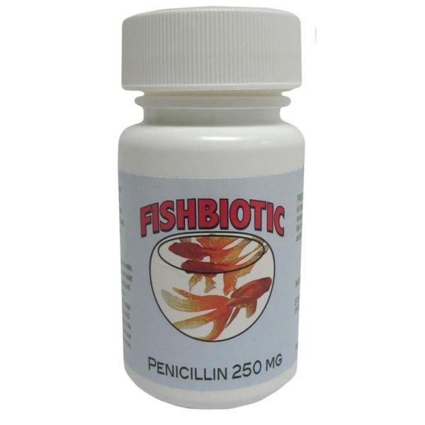 FISHBIOTIC PENICILLIN TABLETS Online now