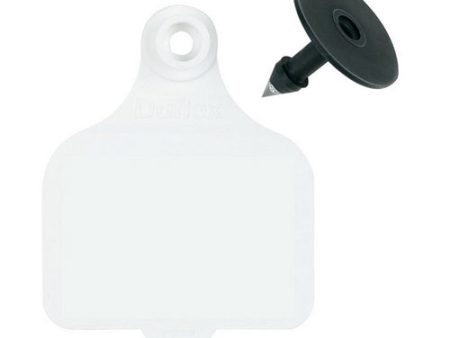 DuFlex Large Blank Tags White 25 s 1 Count by Destron Fearing Duflex Supply