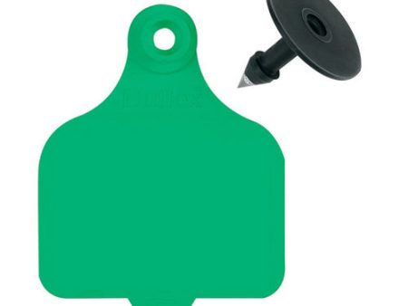 DuFlex Large Blank Tags Green 25 s 1 Count by Destron Fearing Duflex For Sale